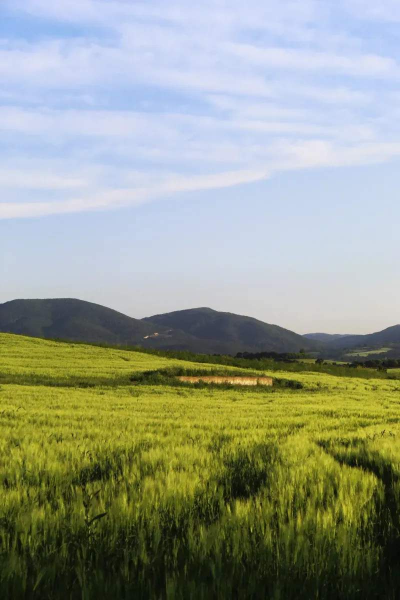 Campo Verde Sierra S.L. 6