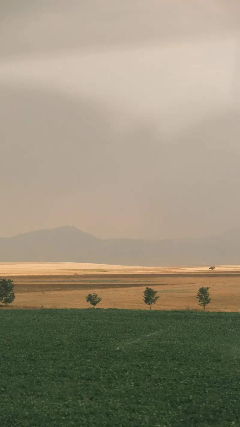 Campo Verde Sierra S.L. 9